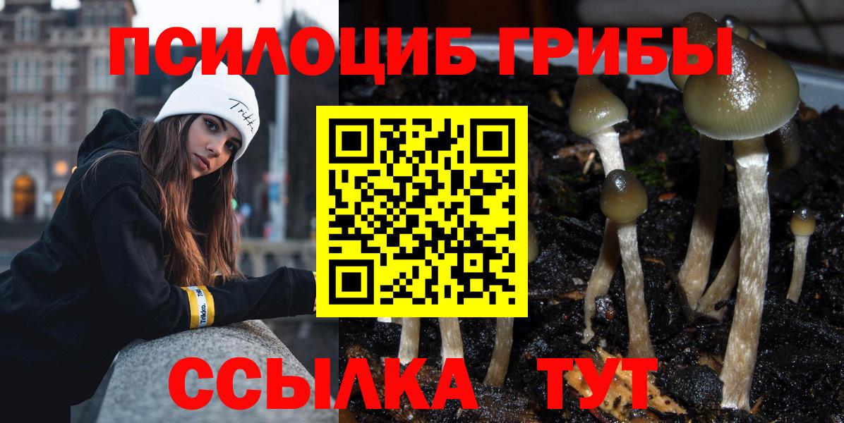 Псилоцибиновые грибы Cubensis  Псилоцибиновые грибы GOLDEN TEACHER  Лесосибирск  Вход с VPN 